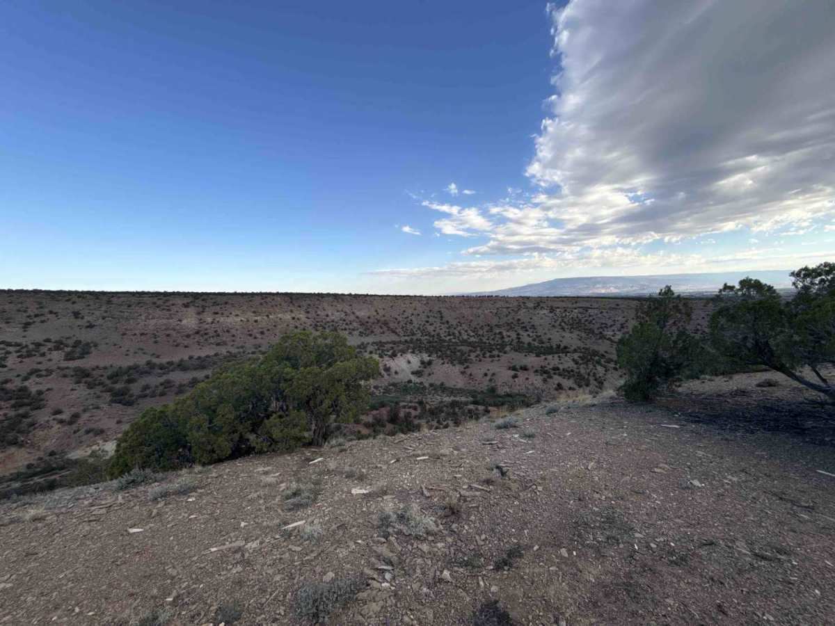 Little Buck Road photo 2