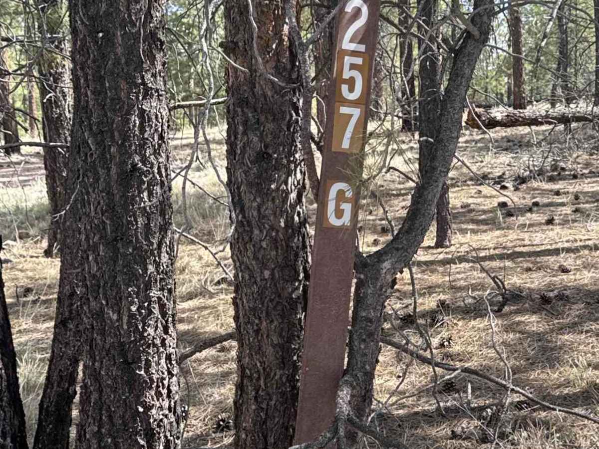 FS 257G trail photo