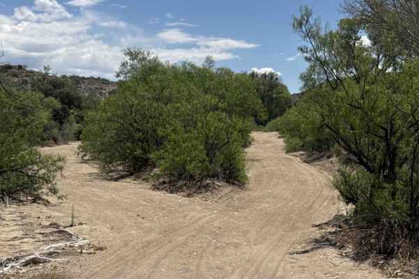 Copper Basin Wash - BLM 50006