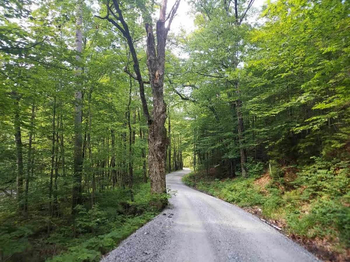 Hale Hollow Trail photo 3