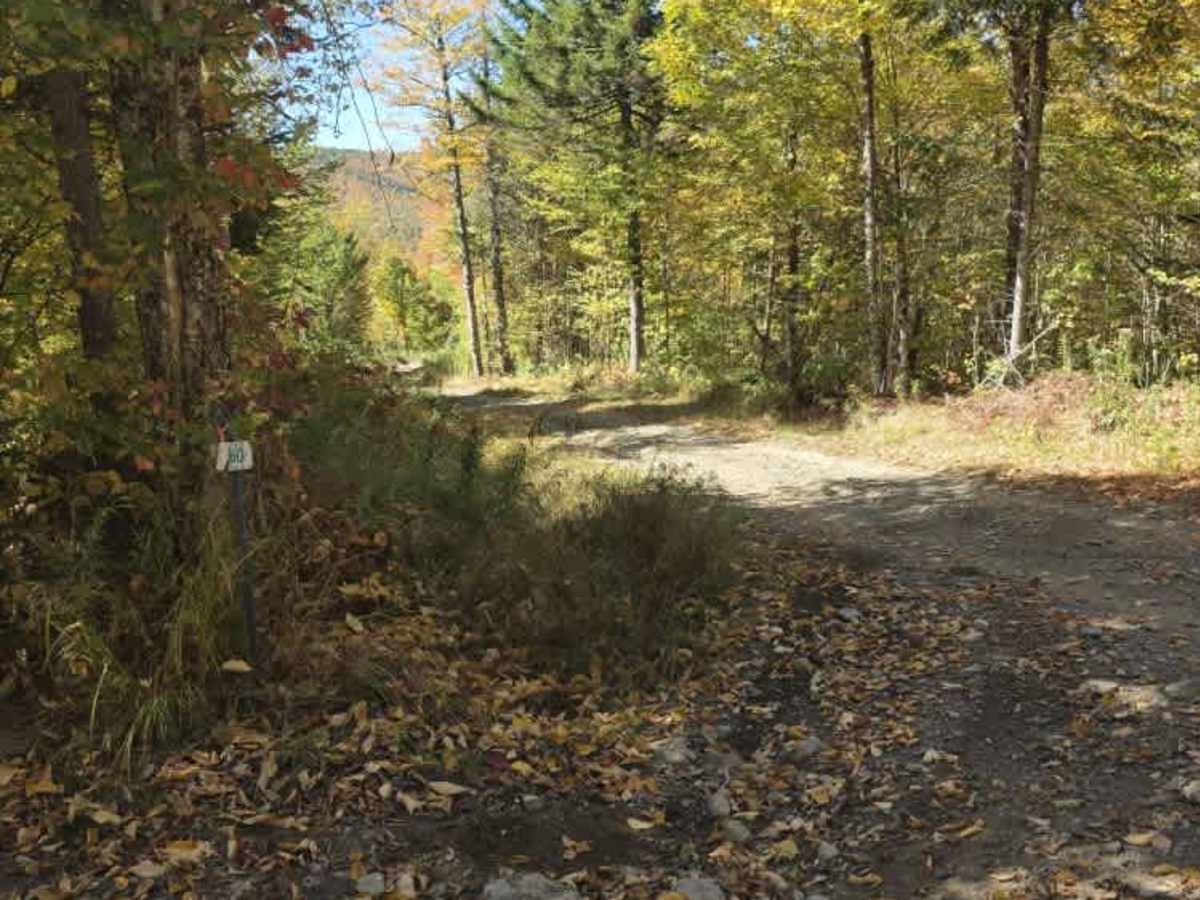 Perry Brook - Red Line Trail photo 2
