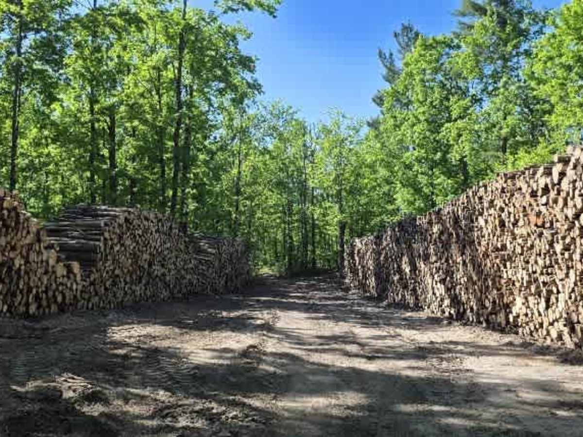 Backwoods Bypass photo 5