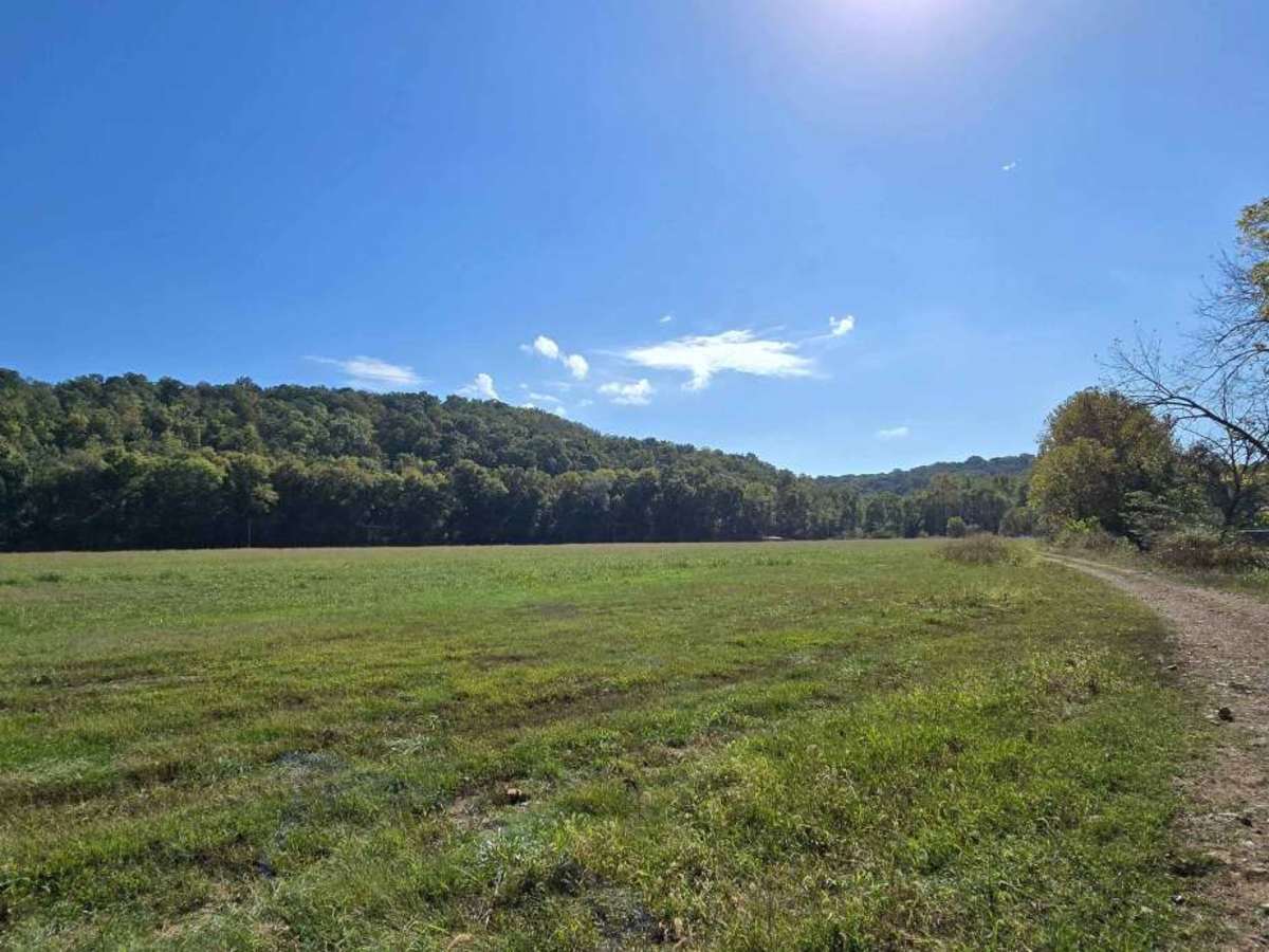 Lower Field Trail photo 2
