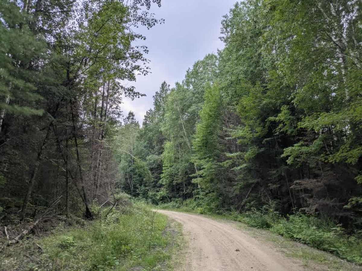 Indian Hill photo 5