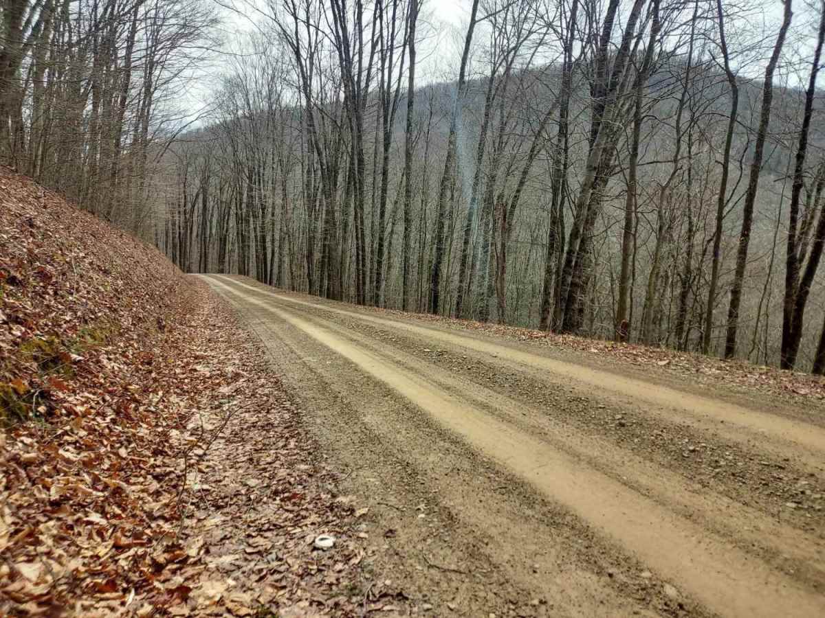 Straight Creek Road  photo 4
