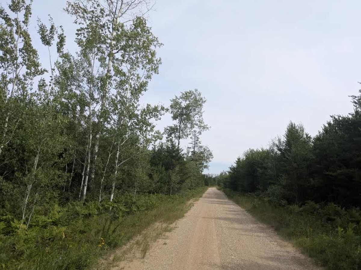 Krull Trail photo 2