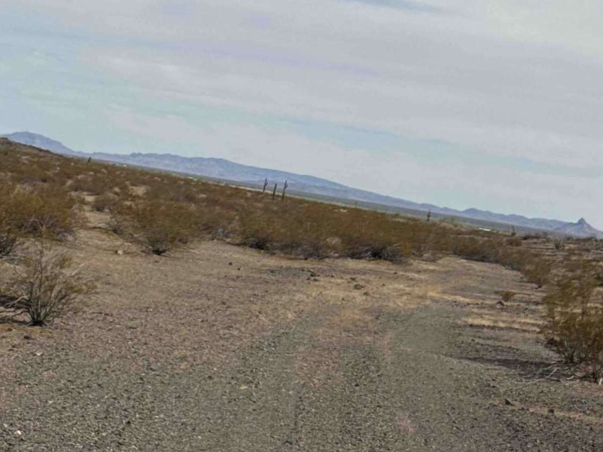 Passmore Gas  photo 2