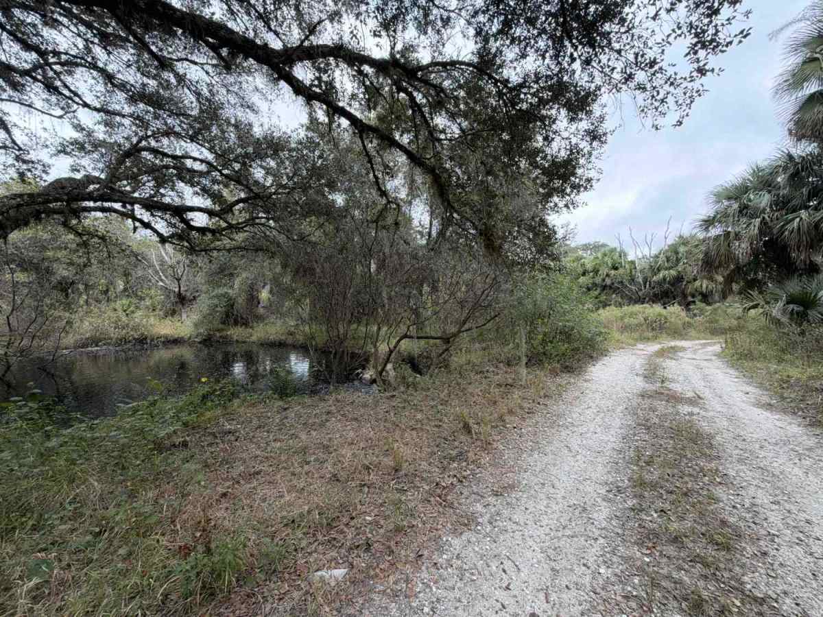 Sailor Hammock Road - Three Lakes WMA photo 5