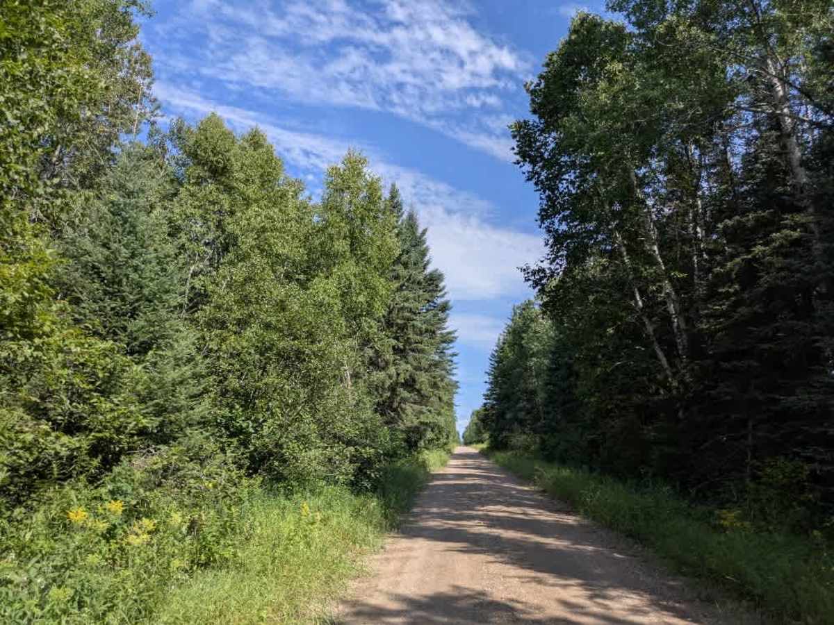 Faunce Forest Road photo 5