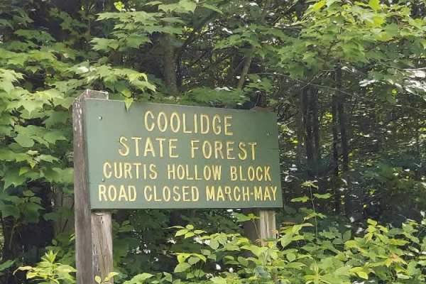 Coolidge State Forest Access Road