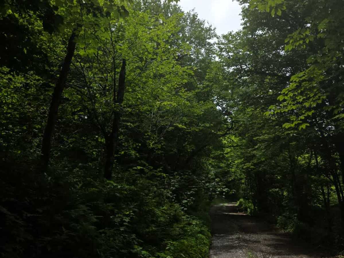 Camp Creek Bald photo 2