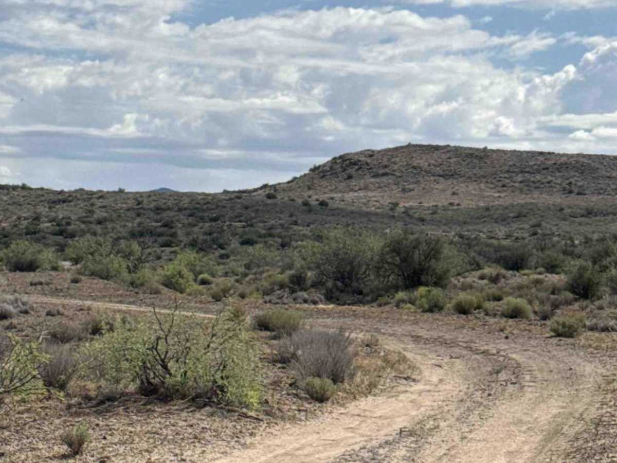 Sandy Gate Wash Trail  photo 5