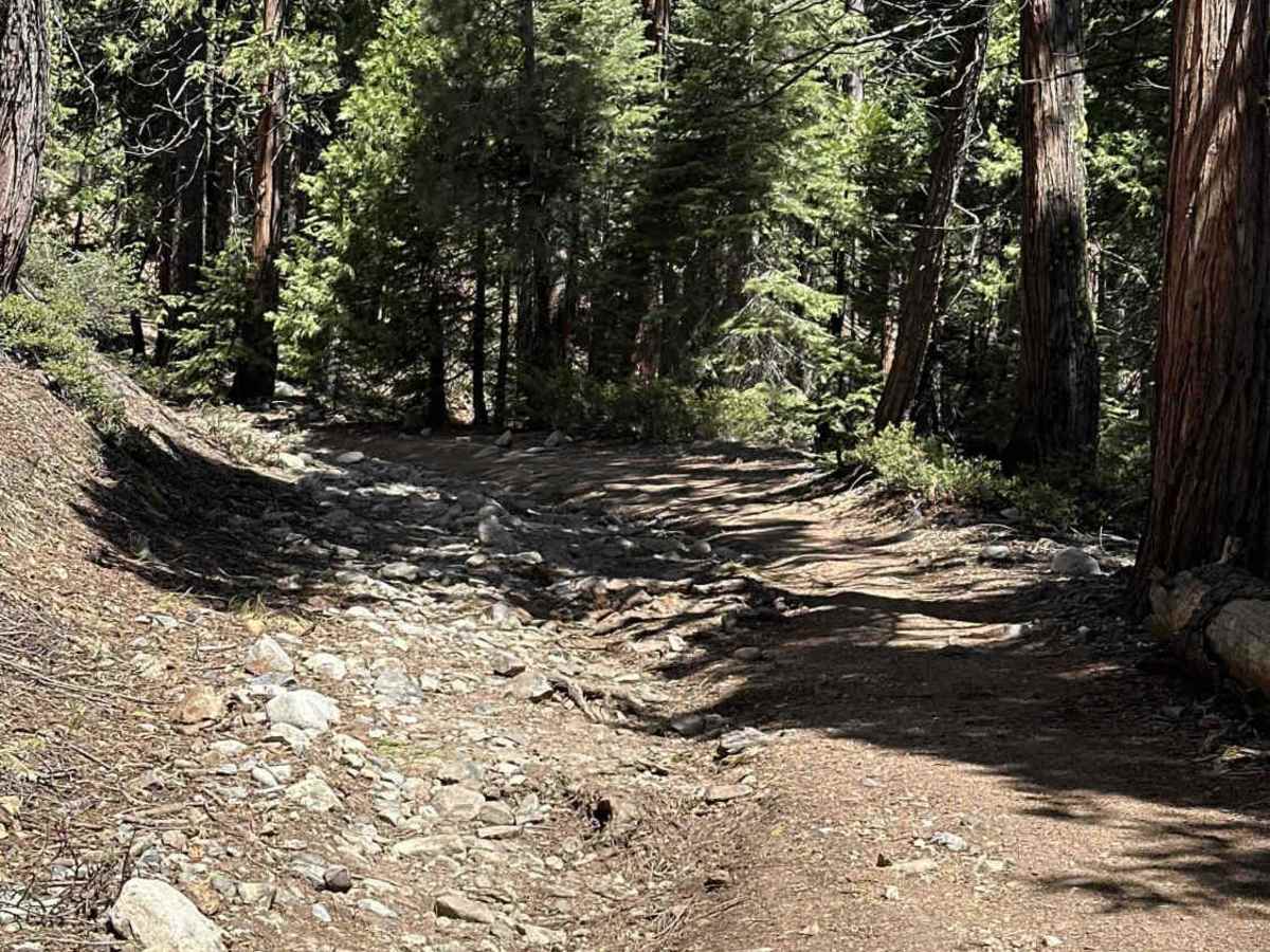Weaver Lake photo 5