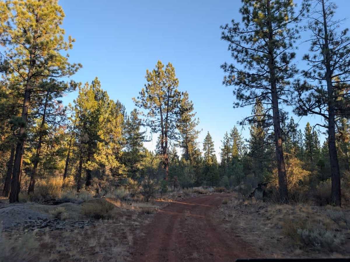 FS 33N68Y trail photo