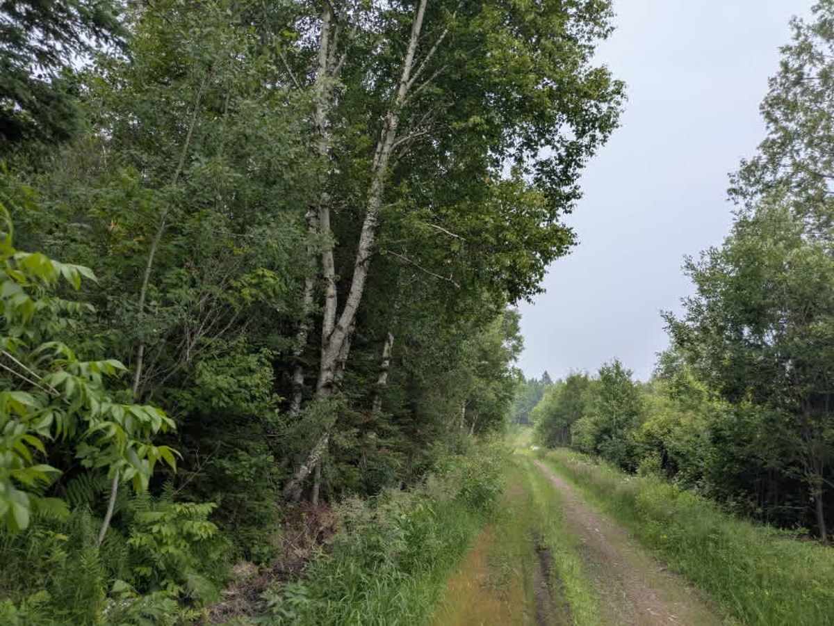 Wilbar Creek photo 2