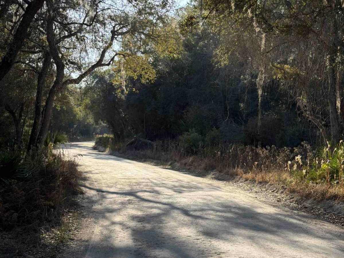 Lake Kerr Key - FS 316 photo 5