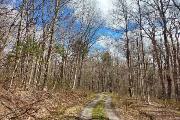 Smith Woods Trail