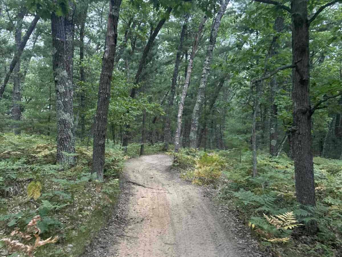 Old State House Trail photo 6