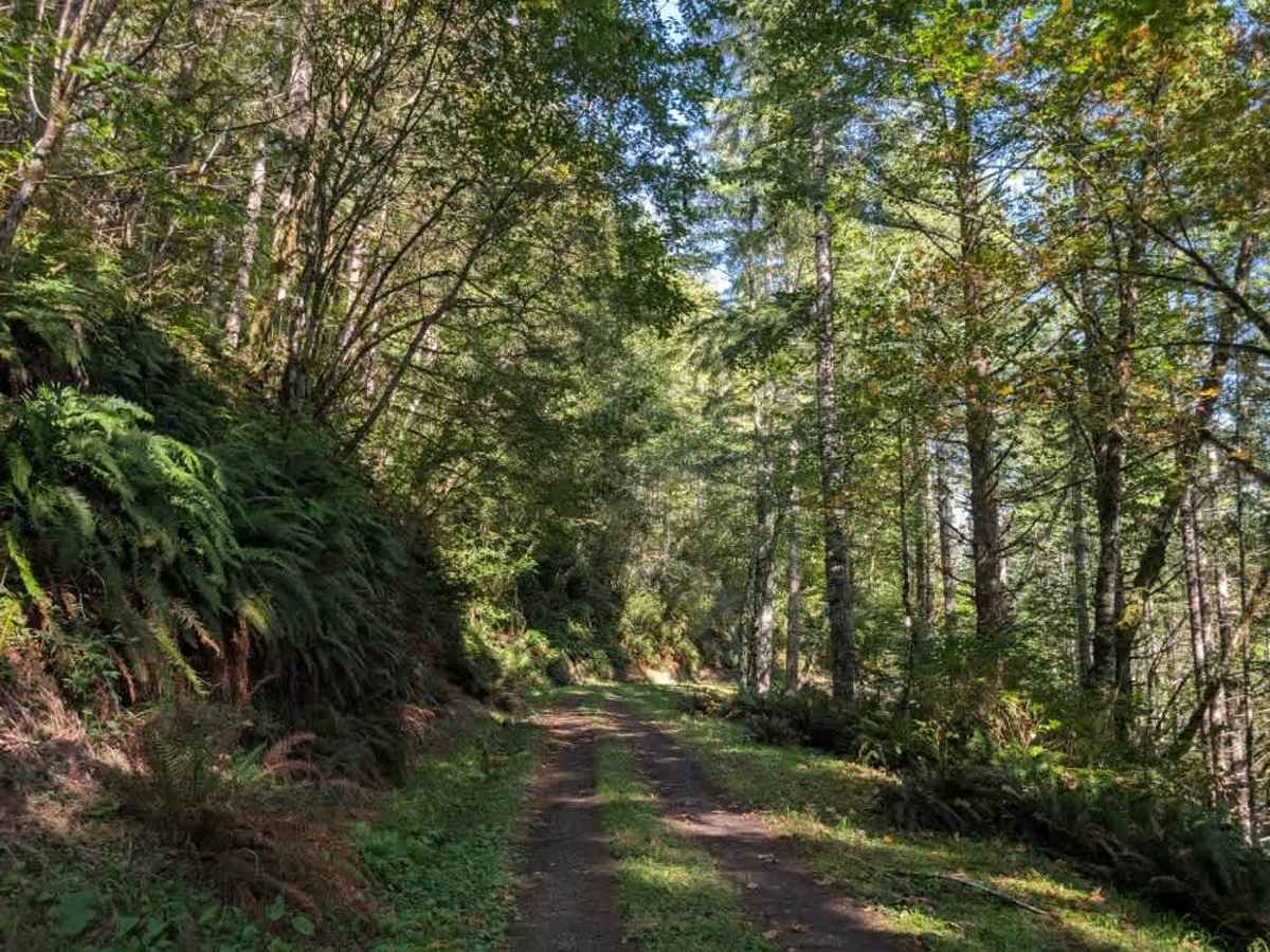 1100 trail photo