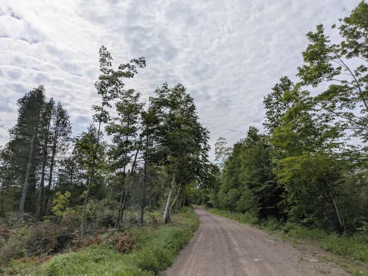 Sonju Lake Road photo 3