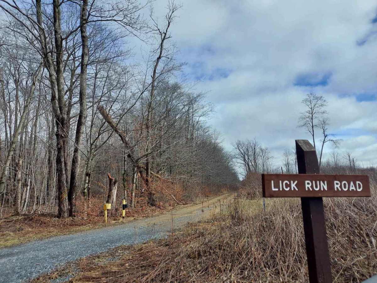 Lick Run Road trail photo