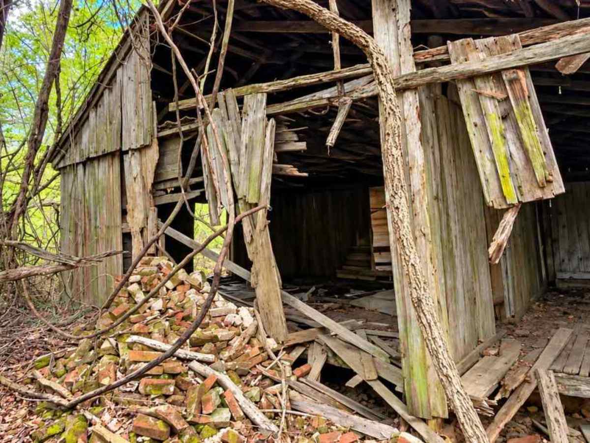 Old Ruins Trail photo 2