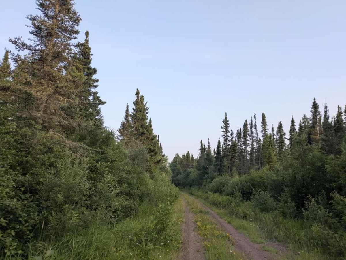 Swamp Lake photo 4
