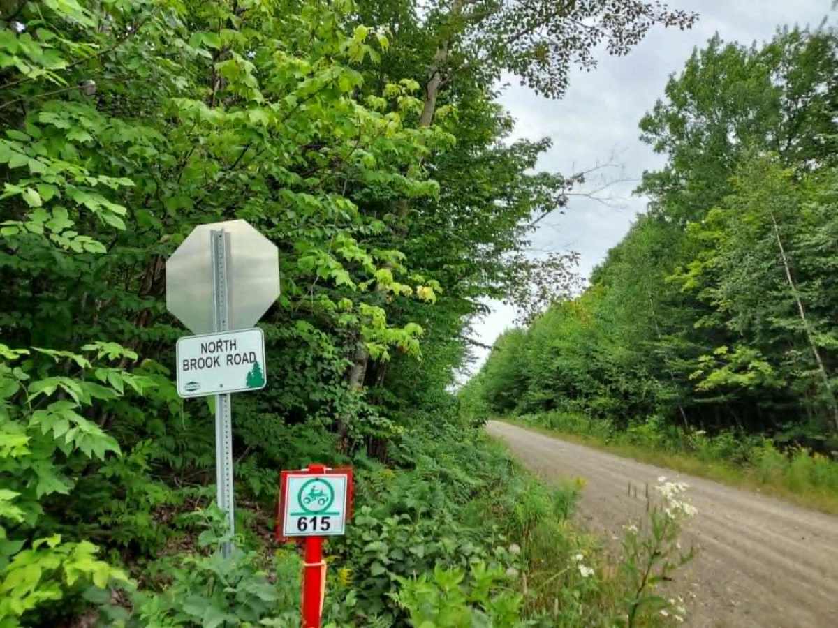 North Brook Road trail photo