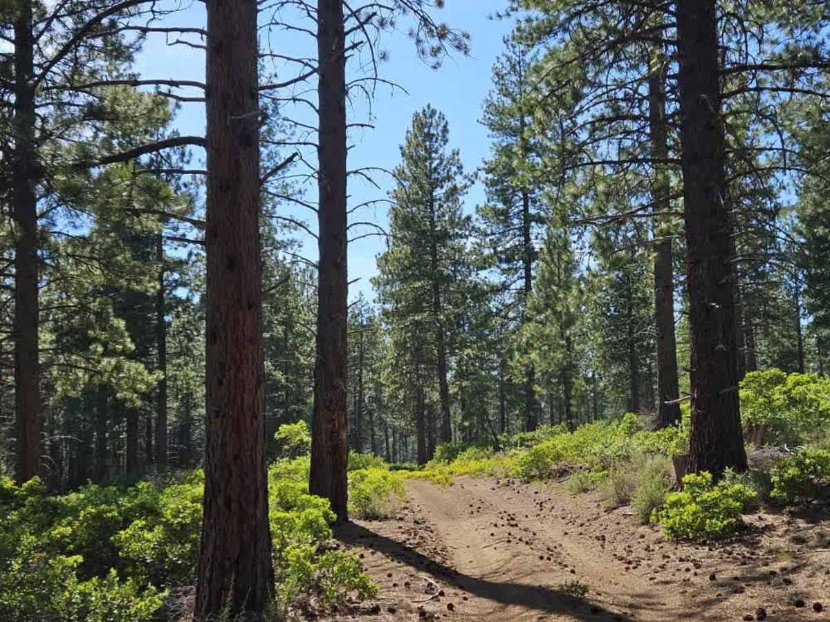 FS 4180540 trail photo