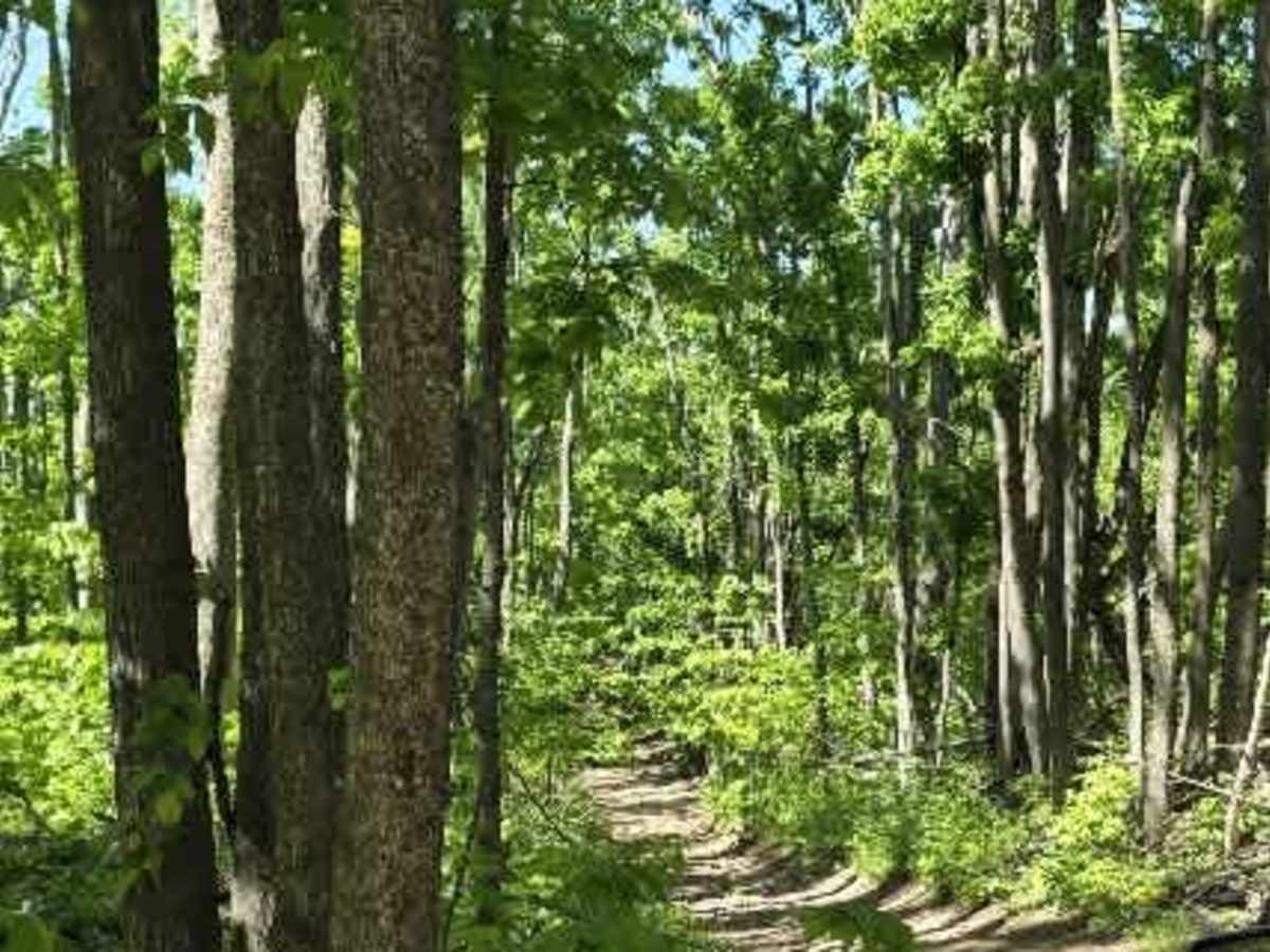 Dunham Rd trail photo