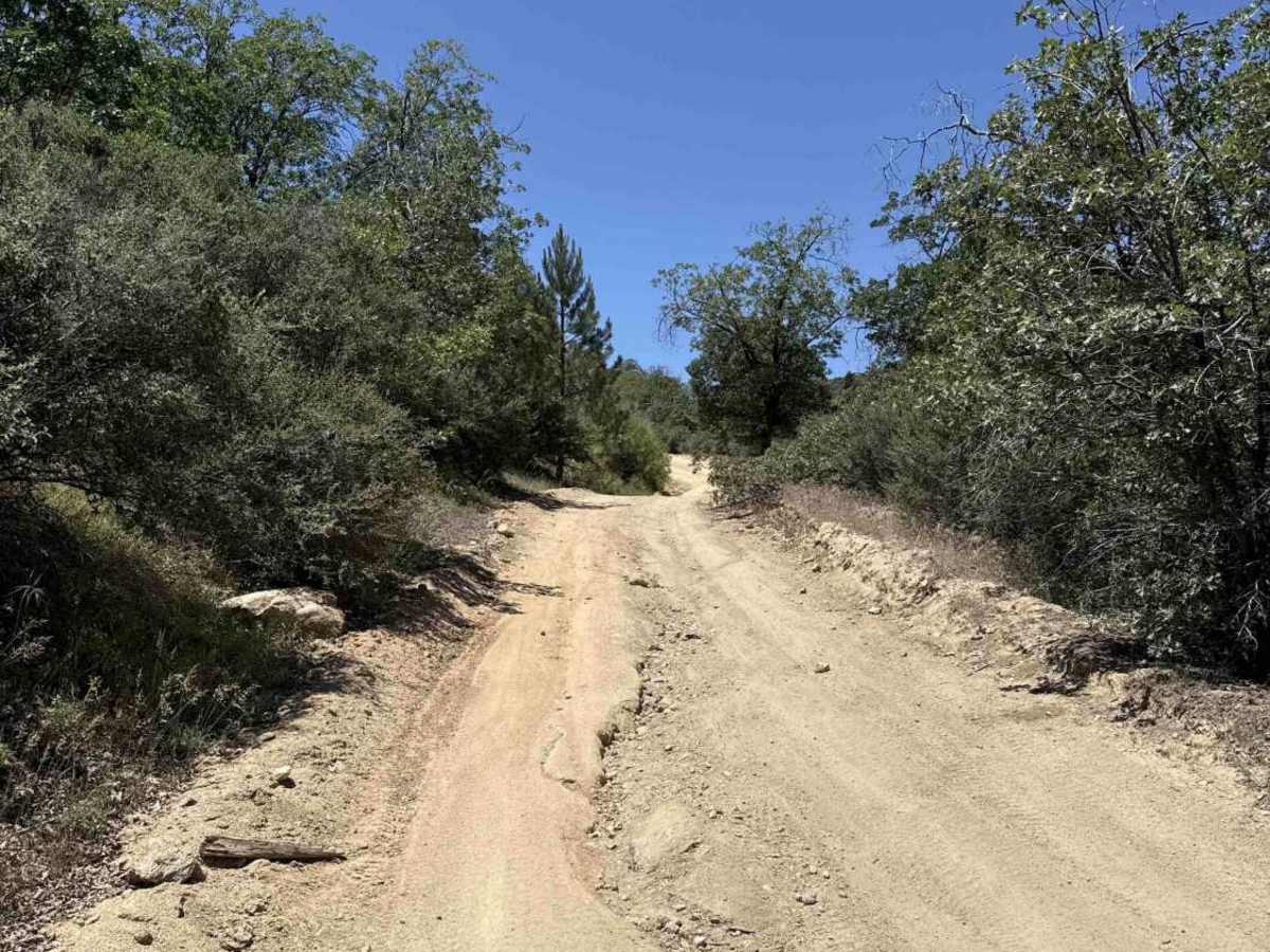 Rouse Ranch photo 3