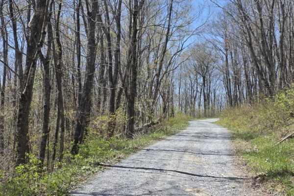 Holston Mountain Trail