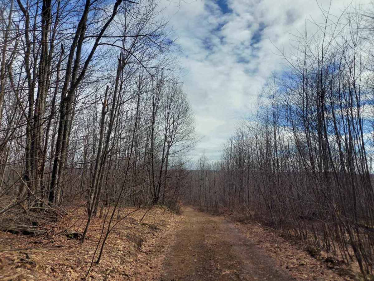 Lick Run Road photo 3