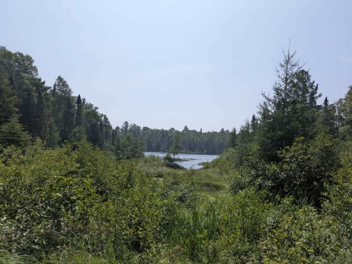 Pit Lake photo 3