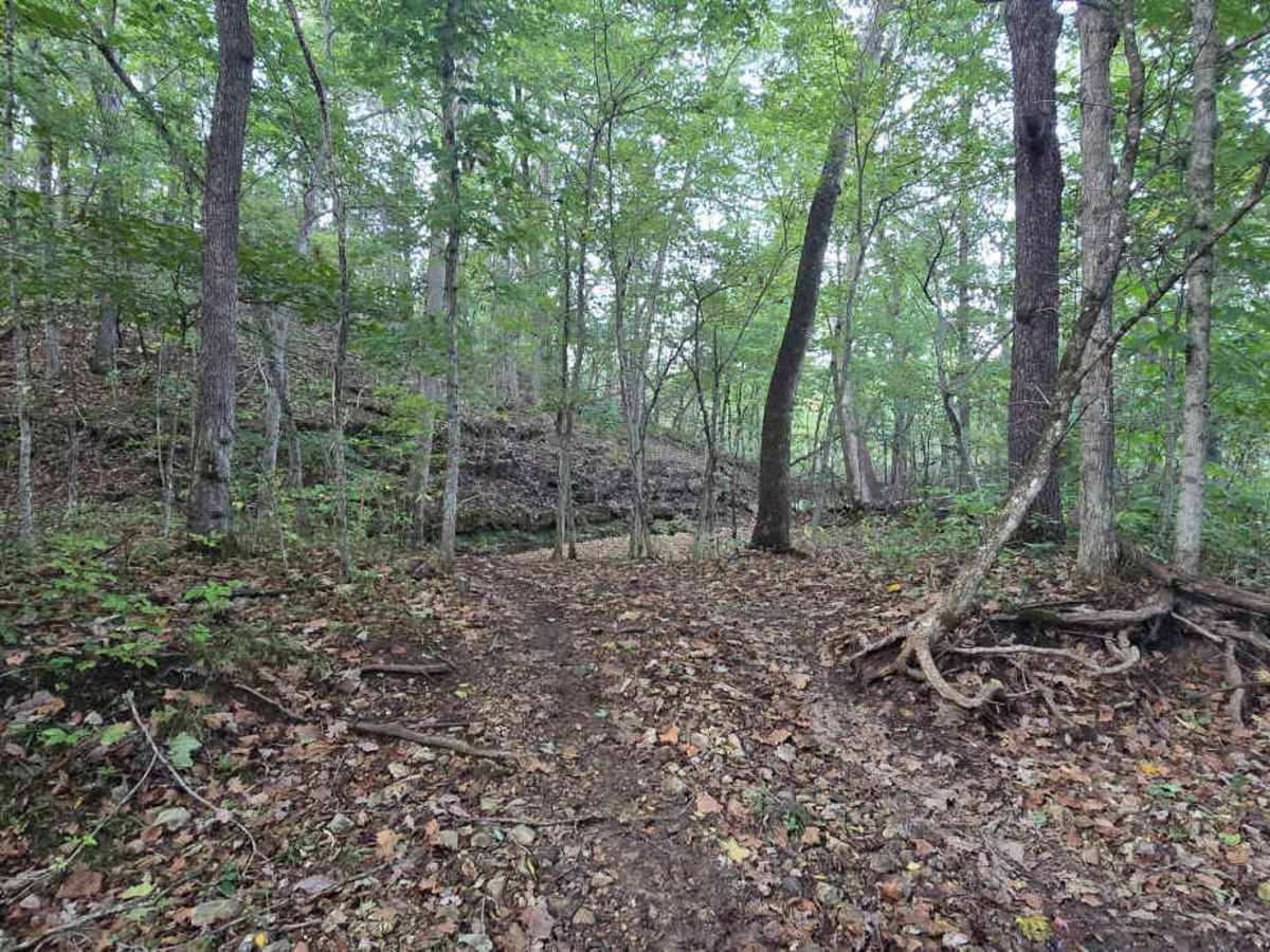 Paw Paw Path photo 2
