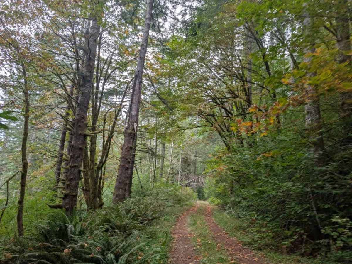 FS 3200672 trail photo