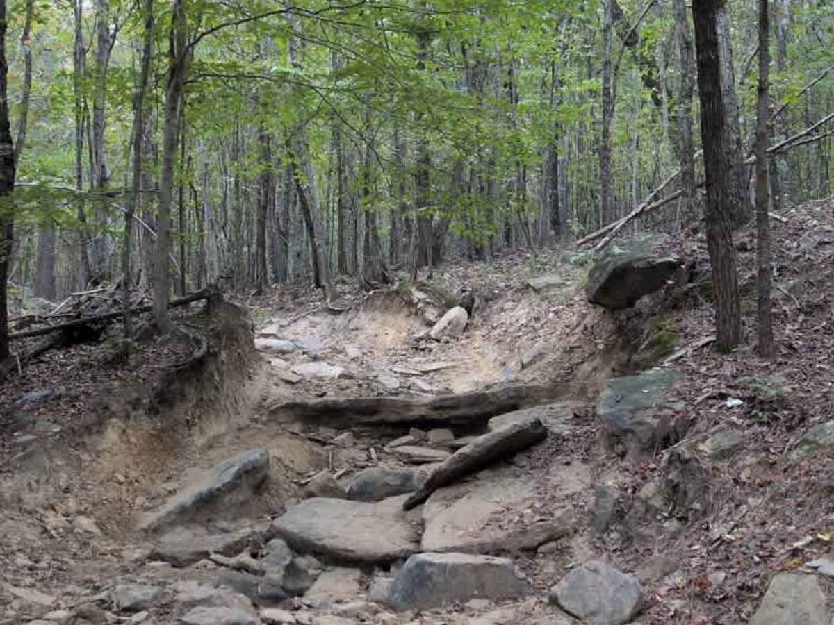 #22 Jester trail photo