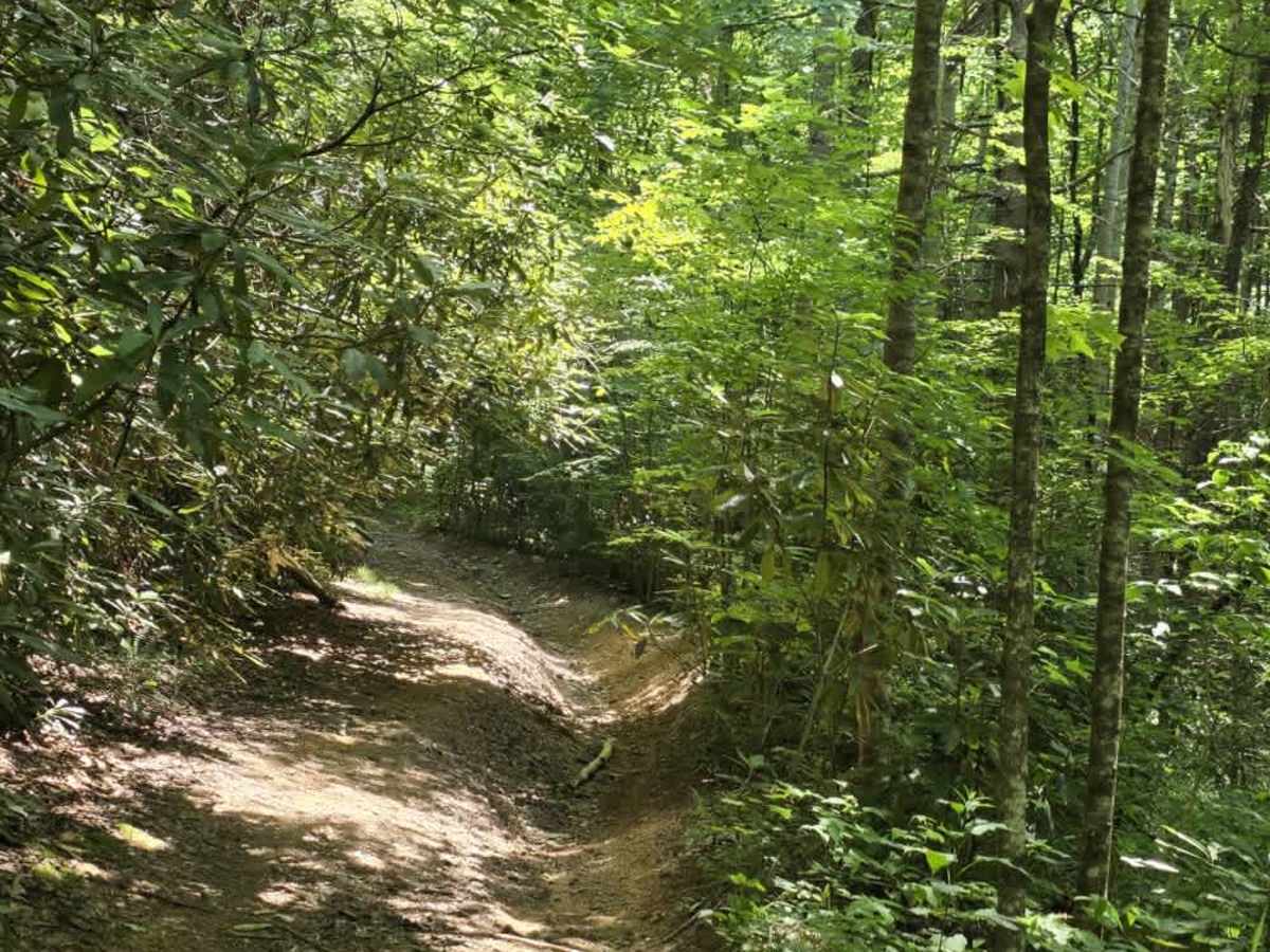 Locust Thorn Ridge photo 6