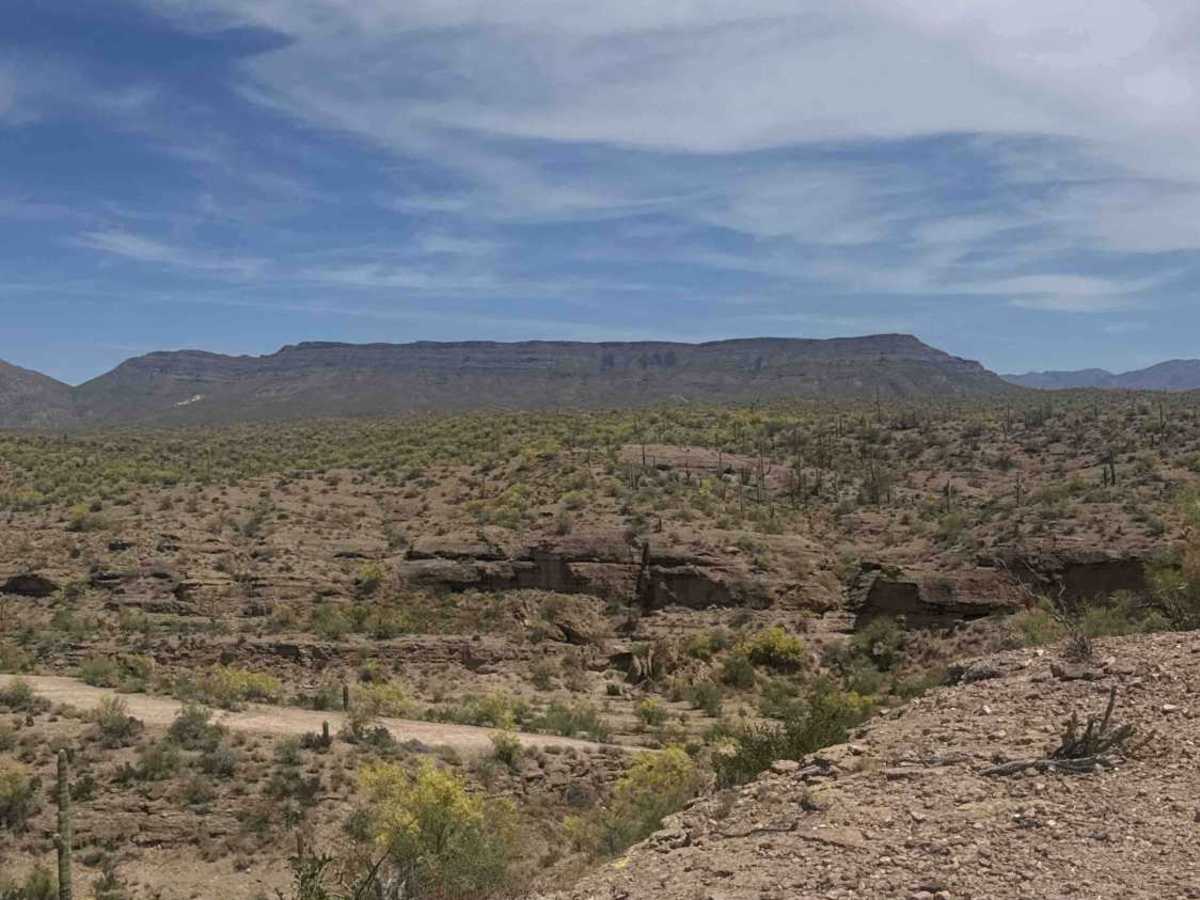 BLM 28057 photo 4