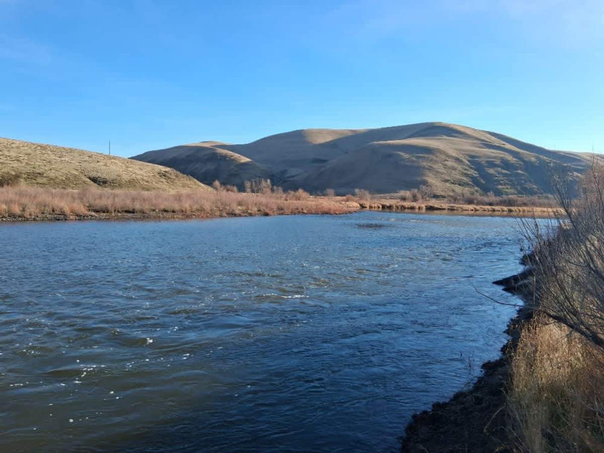 Starvation Lane River Access photo 5
