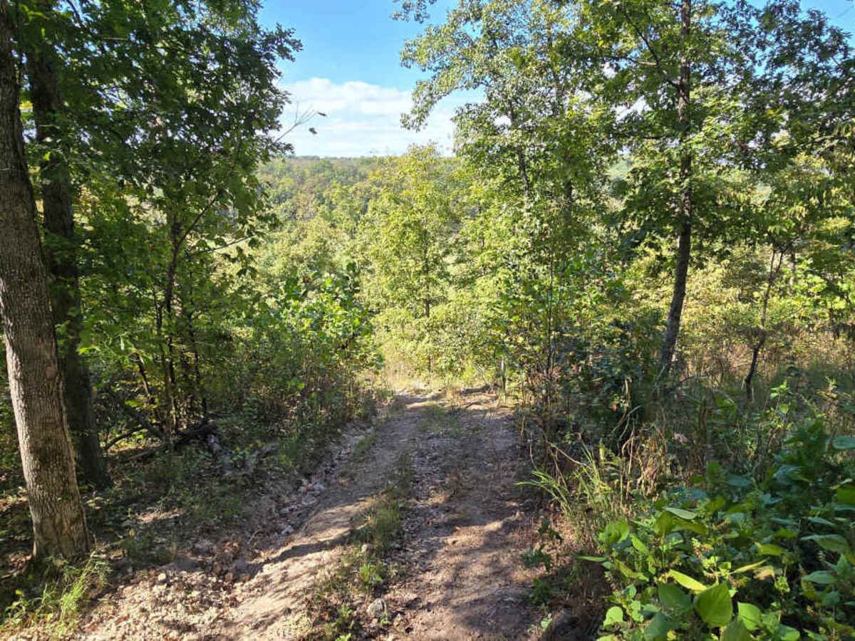 Outer Limits Spur trail photo