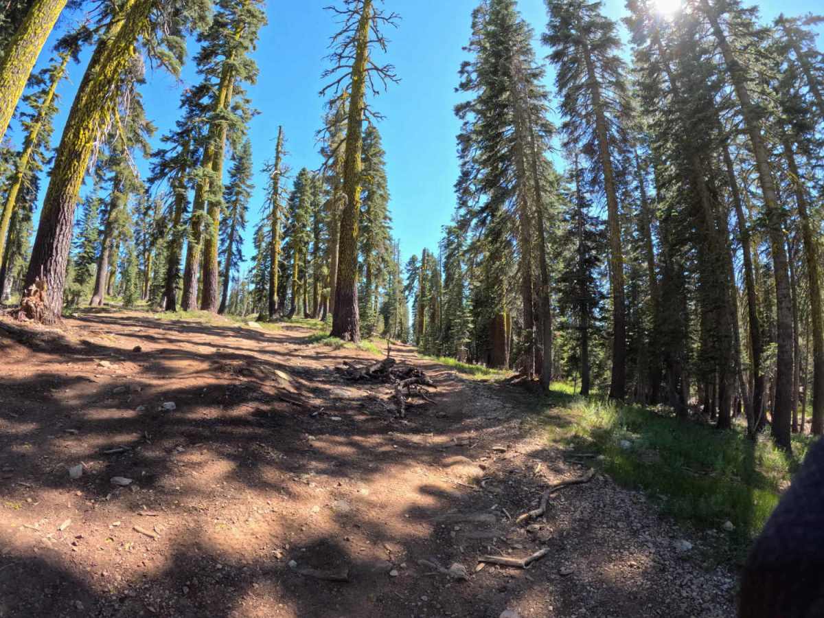Lots A Lakes OHV Trail - FS 12E66 photo 2