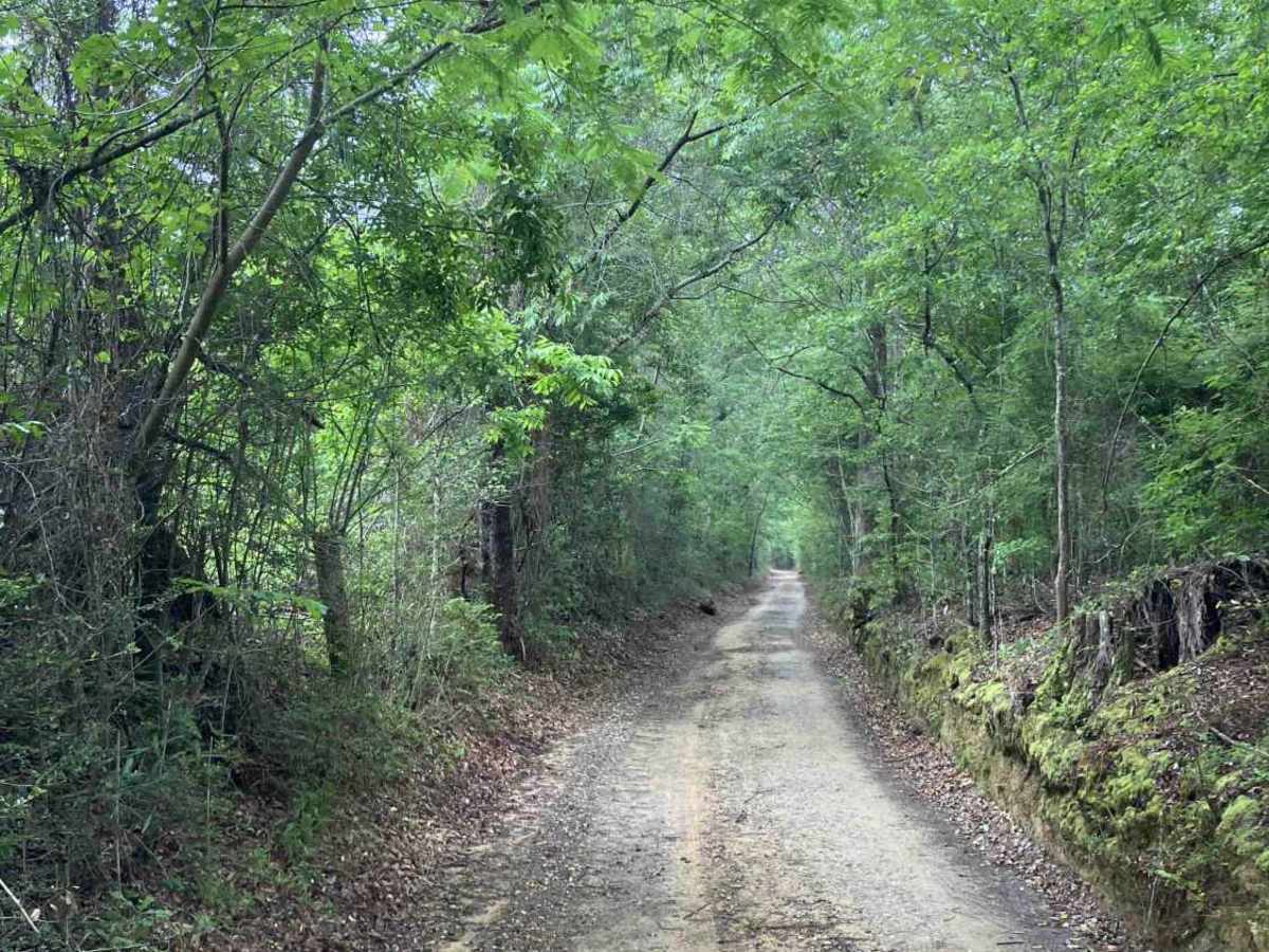 Camp Henderson Road photo 4