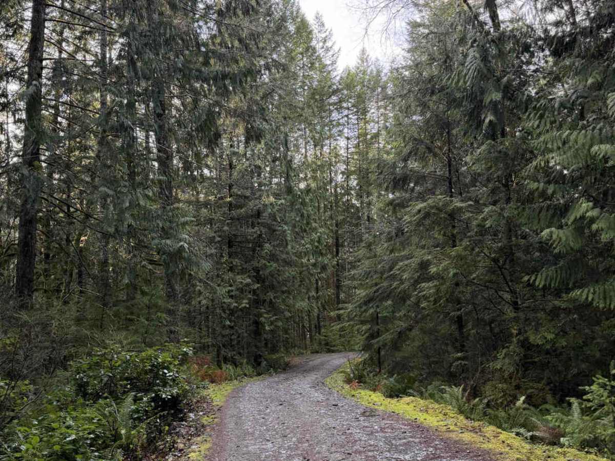 Brewster Lake Recreation Site photo 2