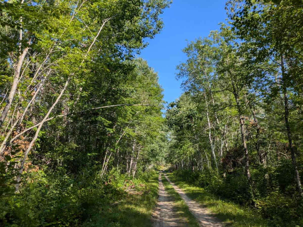Camp Cassaway CT Southeast photo 5