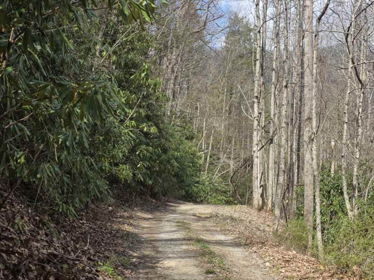 Rocky Branch Road photo 5