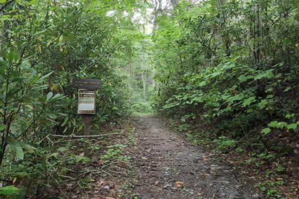 Virginia Highlands Horse Trail Spur C