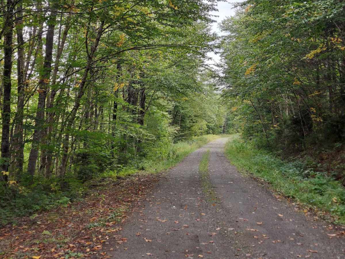 East Branch Road photo 3