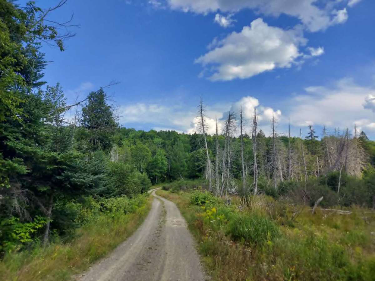 Presque Isle Stream Traverse photo 4