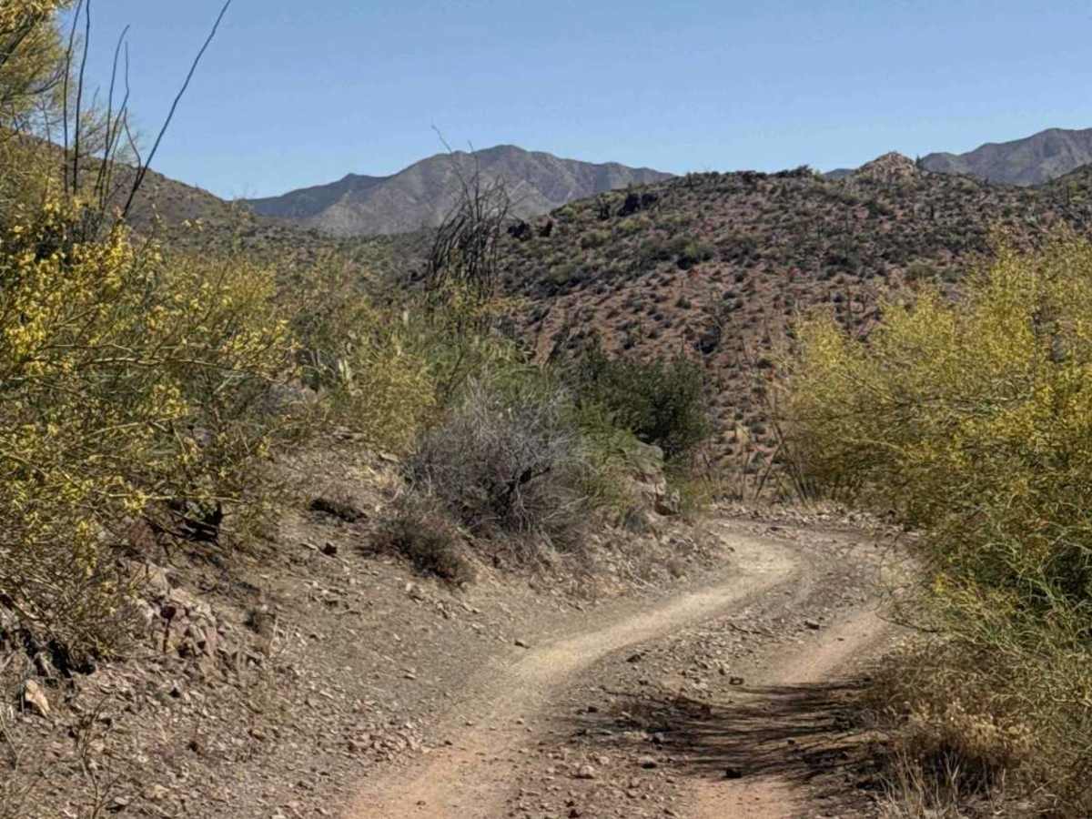 Castle Creek Road Copperopolis  photo 4